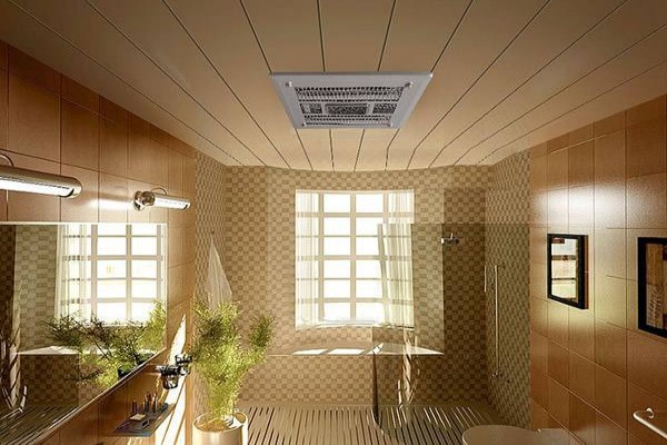 conew_timg (2).jpg conew_timg (2).jpg