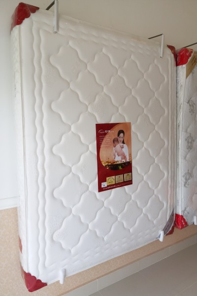 conew_6.jpg conew_6.jpg