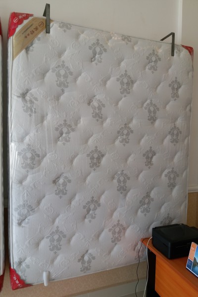 conew_7.jpg conew_7.jpg