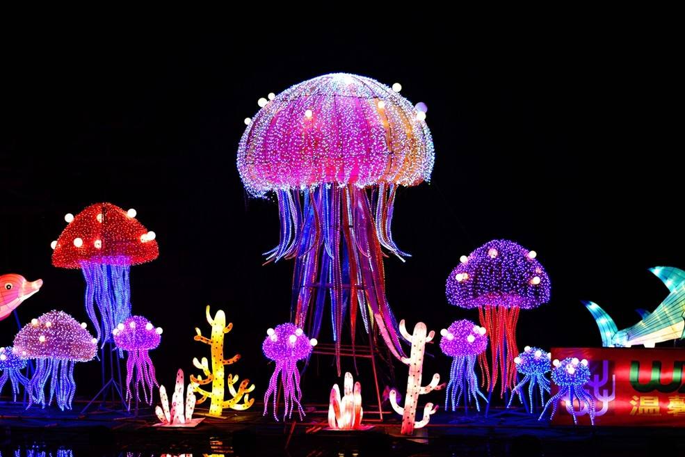 timg (1).jpg timg (1).jpg